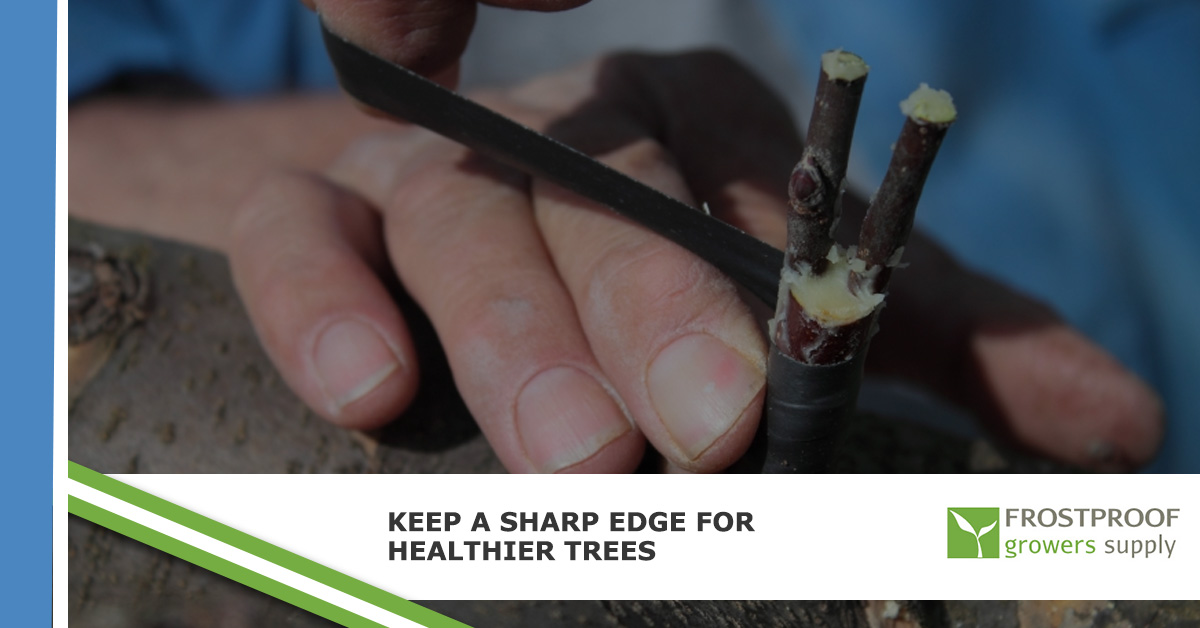 Sharp Edge Tree Keep A Sharp Edge For Healthier Trees - Frostproof Growers Supply