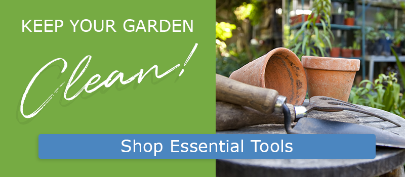 tools-cta.png