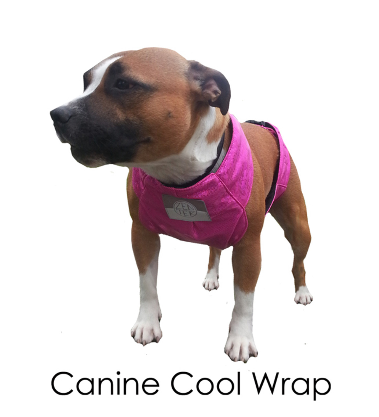 Canine Quick Wrap