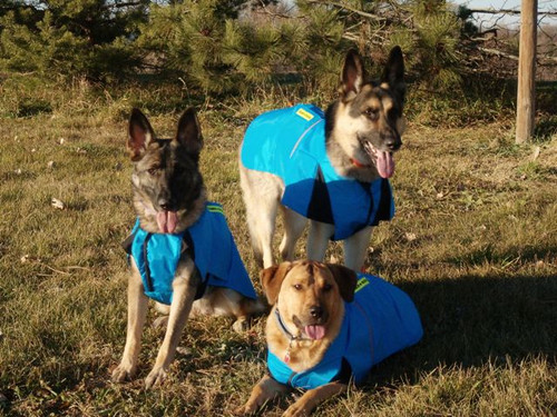 Search And Rescue Dog Coat M L Xl Zentek Clothing Company Store