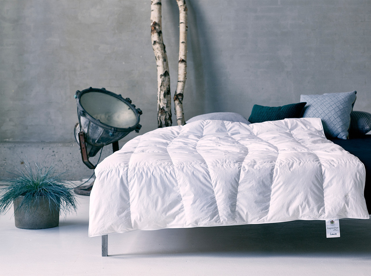 Danish Eiderdown Eiderdown Pillow Engmo Dun Eiderdown Goose Down