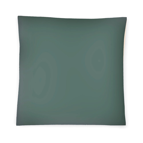 Single Pillow Case 31x31 inch PARIS in green