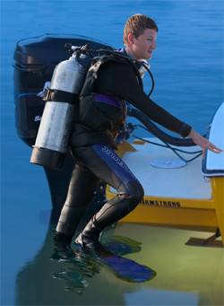 Armstrong Ladder 3 step 34" tall with swing xl mount Action Craft