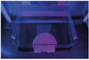 Breast Phantom for Mammography and Breast Tomosynthesis