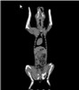 Dog Phantom for CT & X-Ray