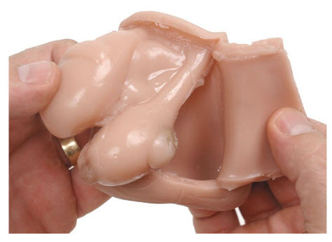Testicle Self Examination Model