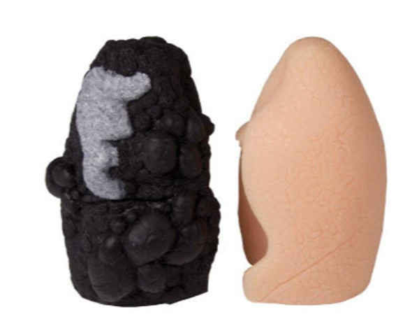 Lung Cancer Model