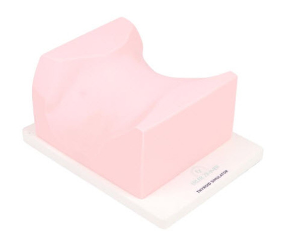 SonoEZ ultrasound trainer ‘Thyroid gland’