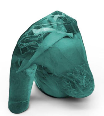 Adult Breast for X-Ray CT,  MRI, Model FLT01