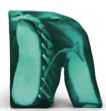 Adult Breast for X-Ray CT,  MRI, Model FLT01