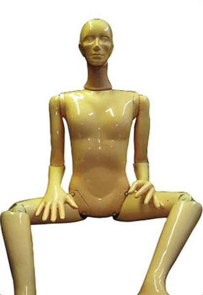 Take Apart Anthropomorphic Training/Teaching Phantom