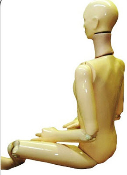 Take Apart Anthropomorphic Training/Teaching Phantom