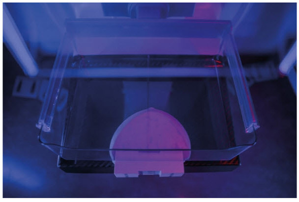 Breast Phantom for Mammography and Breast Tomosynthesis