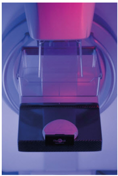 Breast Phantom for Mammography and Breast Tomosynthesis