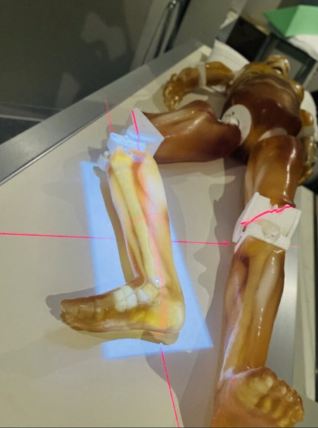 Adult Full Body Phantom (with Muscles) for X-Ray CT, MRI  (FB-A02)
