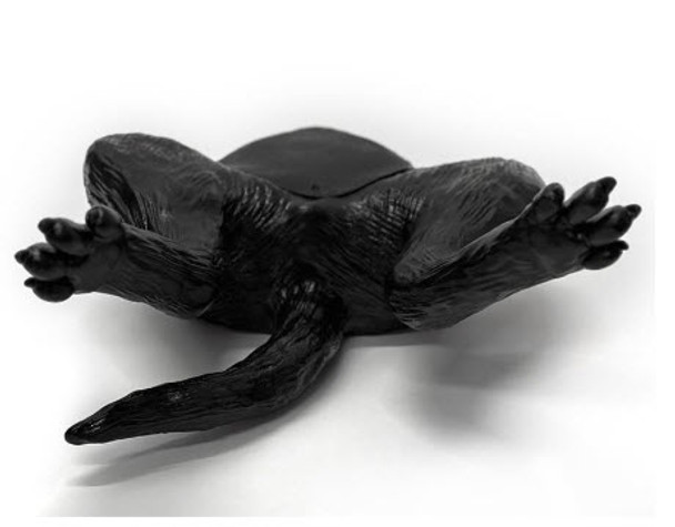 Ultrasound Trainer dog bladder