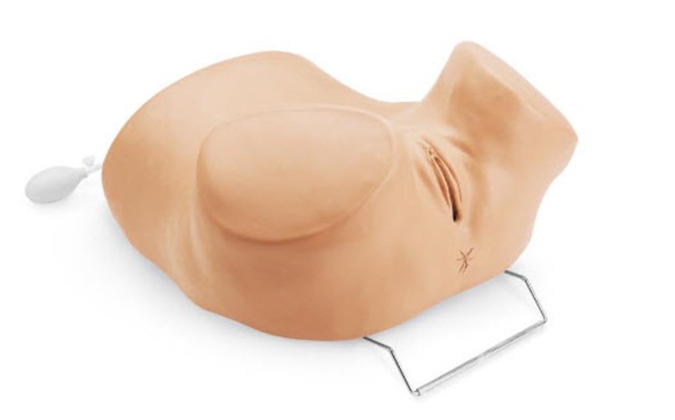 GYN/AID Gynaecological Simulator