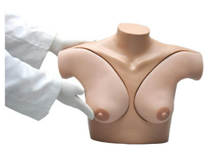Breast Self Examination Simulator
