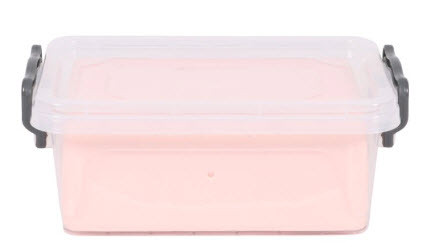 Ultrasound - Regional anaesthesia – Simulator