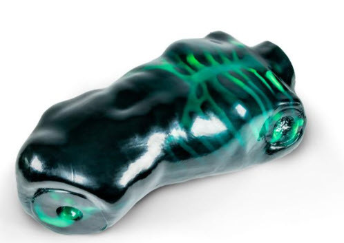 Echo Eddie - Advanced Ultrasound Trainer