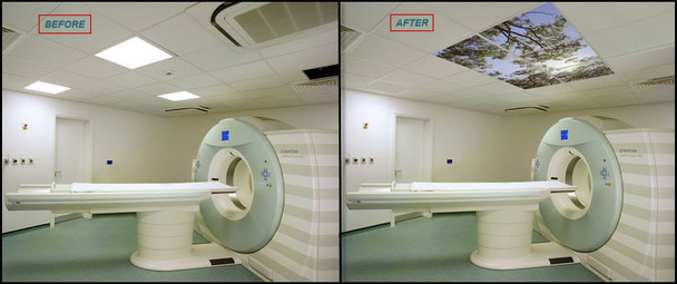 Relax and View Image Collection - Ceiling Mount