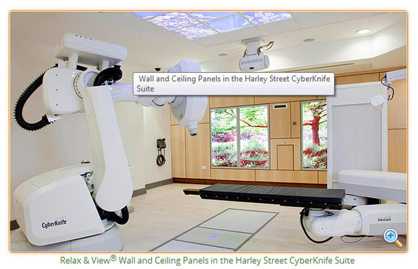 Relax and View Image Collection - Ceiling Mount