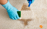 Your Guide to Cleaning a Wool Rug at Home