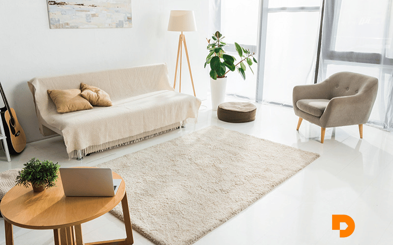 A HowTo Guide for Finding Cute Rugs for Your Space Decorsify