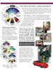 Color Fan - Winter