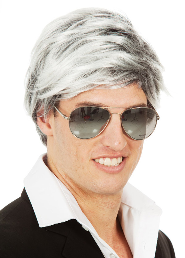 Pop Star Mens 60's 70's Grey Mod Costume Wig