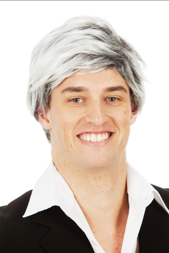 Mature Star (George Clooney) Men's 60's 70's Grey Mod Costume Wig