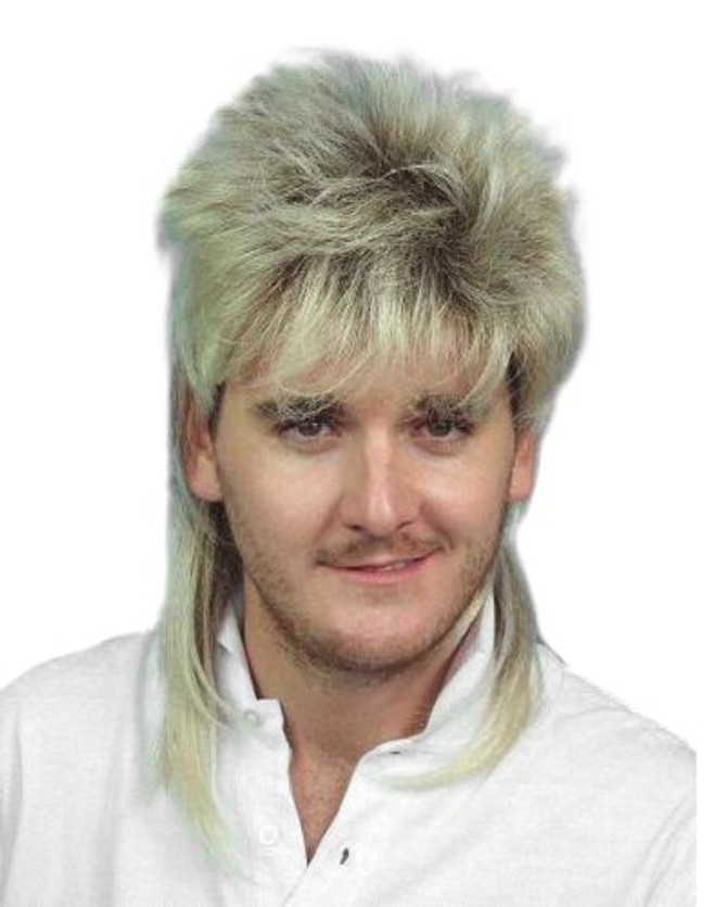 Mullet - 80's Blonde/Brown Classic Costume Wig