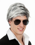 Pop Star Mens 60's 70's Grey Mod Costume Wig