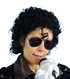 Michael Jackson 80s Short Curly Costume Wig