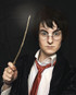 Harry Potter Costume Wig - by Allaura