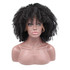 DEE - Lace Front Black Spiral Curls Short Wig - by Queenie Wigs