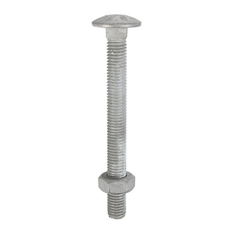 Timco Carriage Bolts DIN603 & Hex Full Nuts DIN934 Hot Dipped Galvanised - M8 x 150 (25 Pack) (08150CBG) 