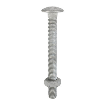 Timco Carriage Bolts DIN603 & Hex Full Nuts DIN934 Hot Dipped Galvanised - M12 x 180 (10 Pack) (12180CBG)