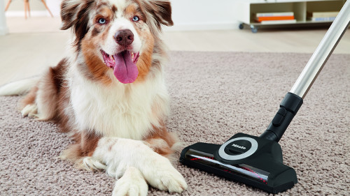 Miele-Blizzard-CX1-Turbo-Team-