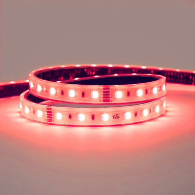 24V Professional Toning Series LED Strip Light, RGB Colour Changing, 60 LEDs p/m, 14.4w p/m, 5 Metre Reel, IP67 - TP24-RGB27K-60-5M-IP_R_ON__68082__52123.jpg