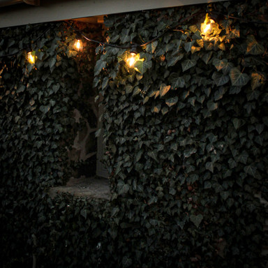 Pro Series Connectable Festoon String 5m, 10 B22 Fixtures, 500mm Spacing, Black Rubber, IP65 - Pro3__30547__74431__89267.jpg