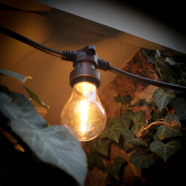 Pro Series IP65 Water Resistant Connectable Festoon String Kit, 500mm Spacing with LED Bulbs