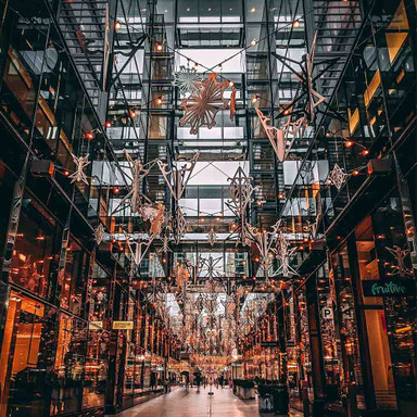 Festoon Wire Installation Kit for 25 Metre Outdoor String Lights - Festoon_Installation_Kit_Insitu__56228__21624__98658.jpg