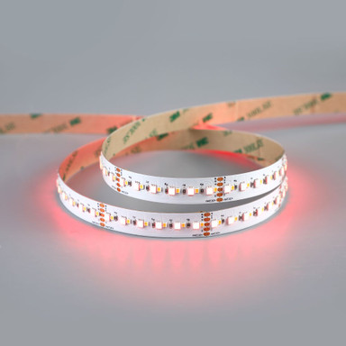 Tagra | 24V | Professional High Definition | LED Strip Light | RGB+W | 240 LEDs p/m | 20.0W p/m | 5m - 8H8A6831__64094.jpg