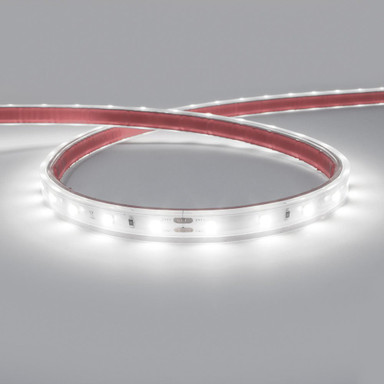 Tagra | IP65 | 24V | Essential | LED Strip Light | 60 LEDs p/m | 4.8W p/m | 5m & 50m - ES24-60-6K-IP.jpg