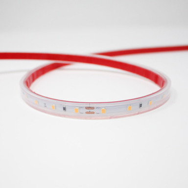 Tagra | IP65 | 24V | Essential | LED Strip Light | 60 LEDs p/m | 4.8W p/m | 5m & 50m - ES24-60-IP-OFF.jpg