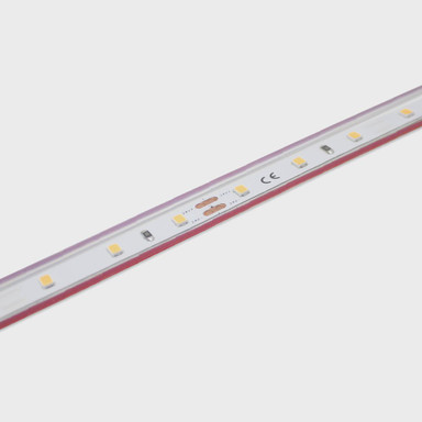 Tagra | IP65 | 24V | Essential | LED Strip Light | 60 LEDs p/m | 4.8W p/m | 5m & 50m - ES24-60-IP.jpg