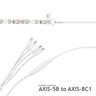 AXIS Connection System - AXIS-5B 2.1mm Plug Branch Splitter Cable 5 Way (3A) - axis-5b-example__87126__43688.jpg