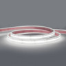 24V Professional COB Spotless LED Strip Light, 11.2w p/m 6500K CRI>90, IP67, 50 Metre Reel - PC24-6K-5M-90-IP-ON__94284__06492__29672.jpg