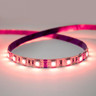 24V Essential Toning Series LED Strip Light RGB+W 2700K 60 LEDs, 19.2w Per Metre, 5 Metre Reel - r__47346__05601.jpg